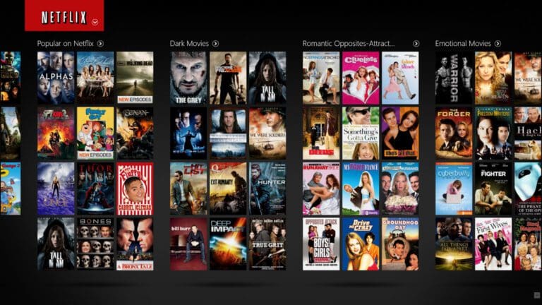 Netflix data privacy