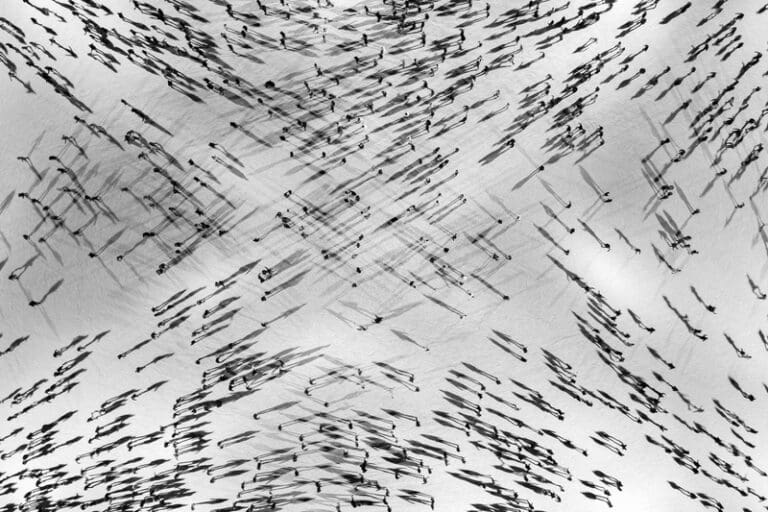 Scaling AI in financial institutions